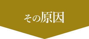 その原因